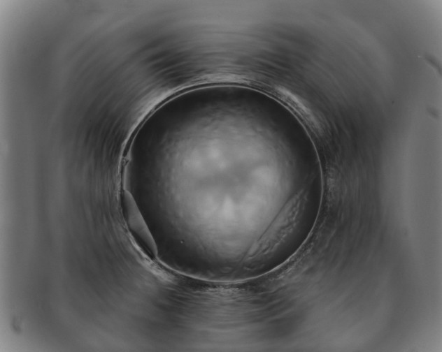X0000091591236200708271236
