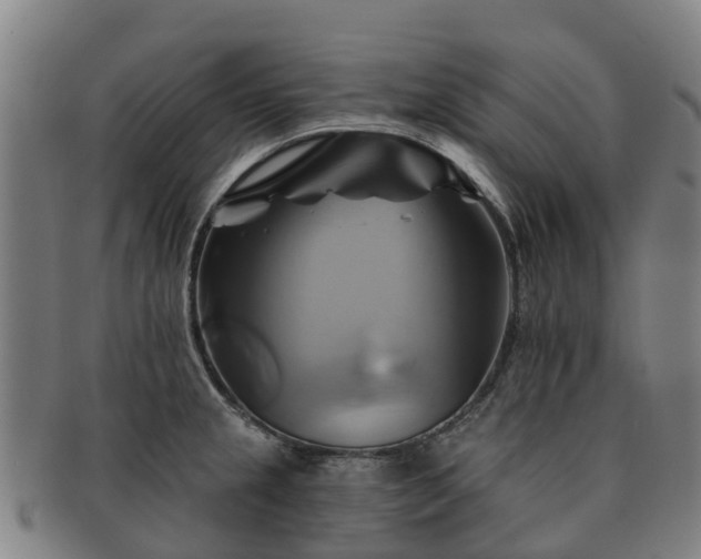 X0000091591237200708271236