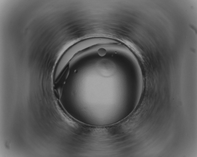 X0000091591238200708271236