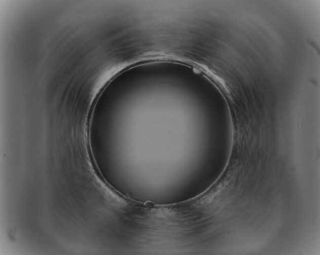 X0000091591239200708271236