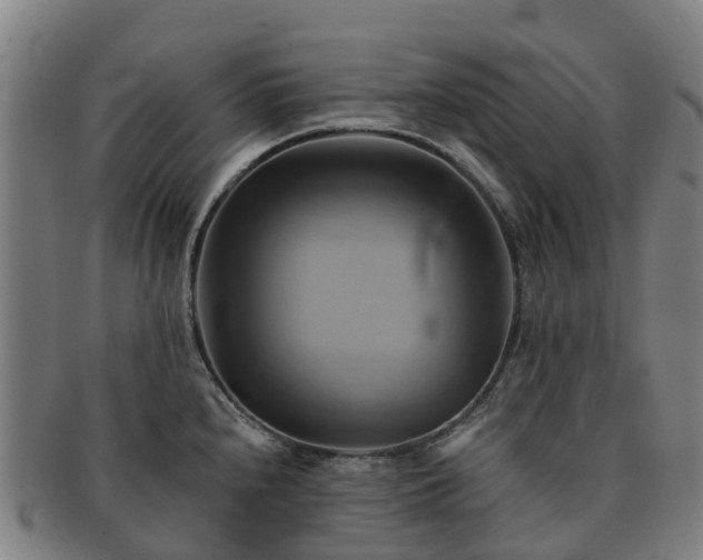 X0000091591240200708271236