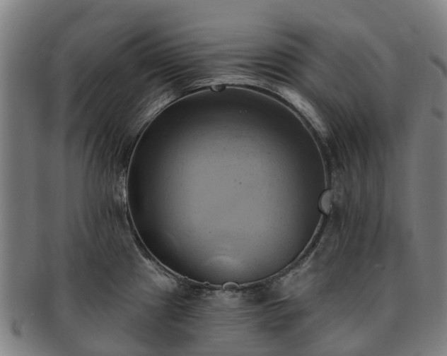 X0000091591241200708271236