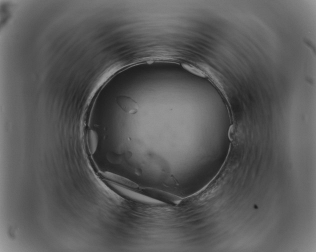 X0000091591243200708271236