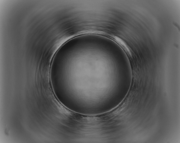 X0000091591244200708271236