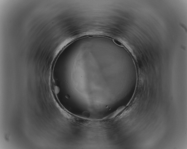 X0000091591245200708271236