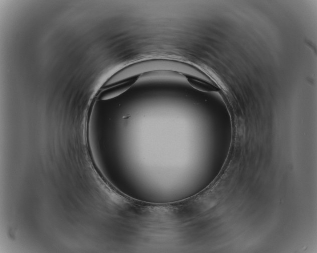 X0000091591246200708271236