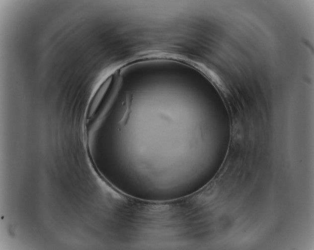 X0000091591247200708271236