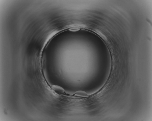X0000091591248200708271236