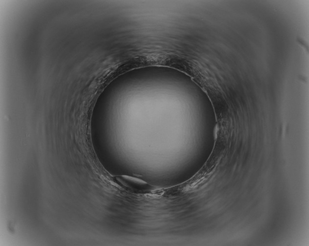 X0000091591249200708271235