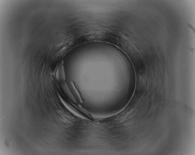 X0000091591250200708271235