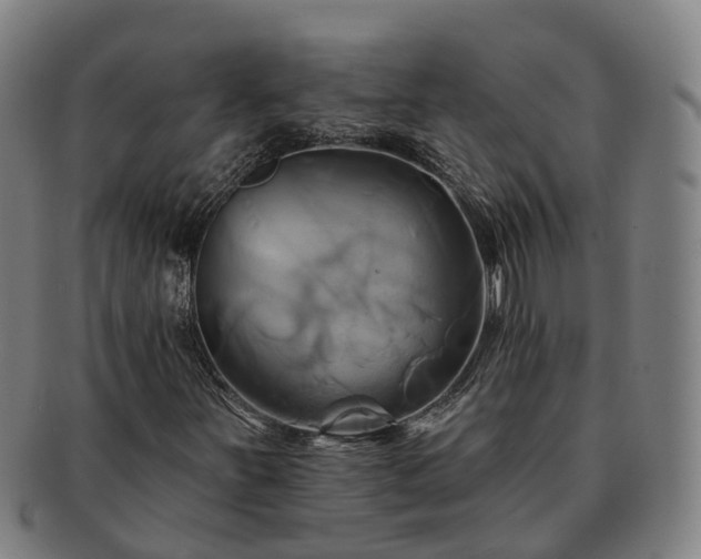 X0000091591251200708271235