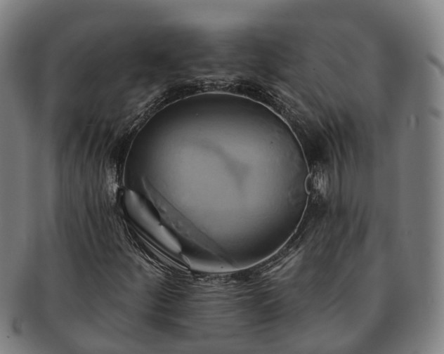 X0000091591252200708271235