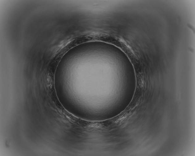X0000091591253200708271235