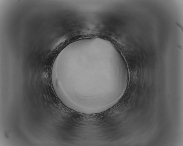 X0000091591254200708271235