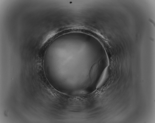 X0000091591255200708271235