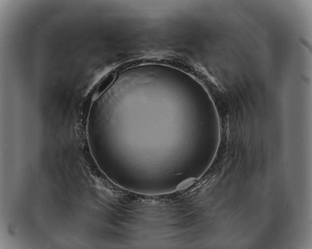 X0000091591256200708271235
