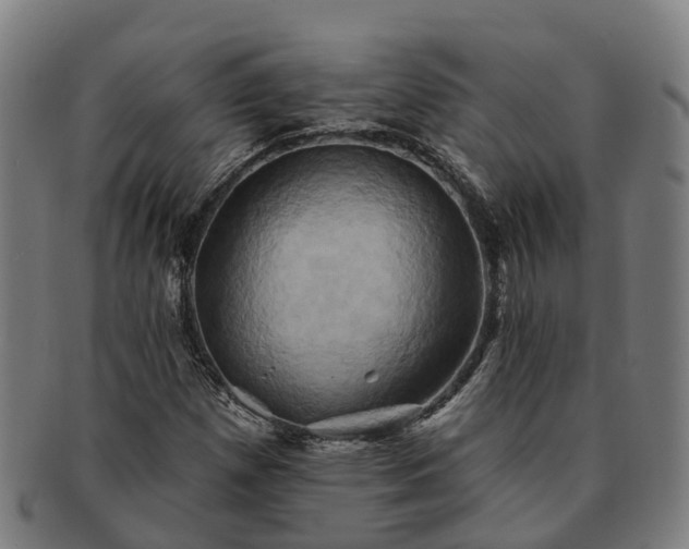 X0000091591257200708271235