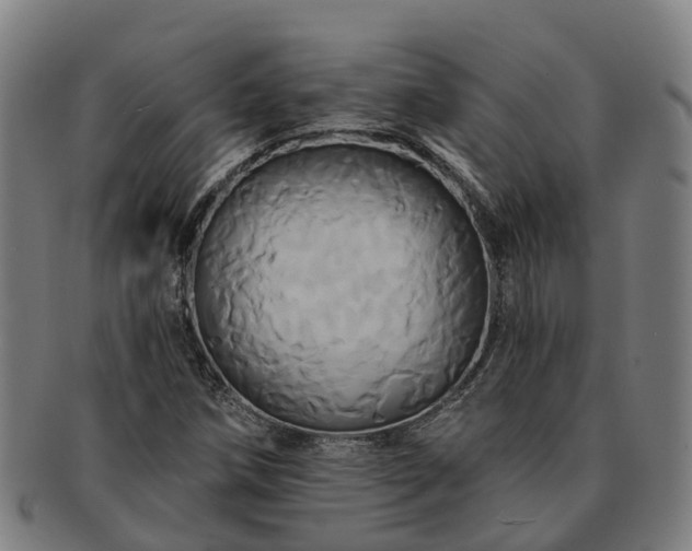 X0000091591258200708271235