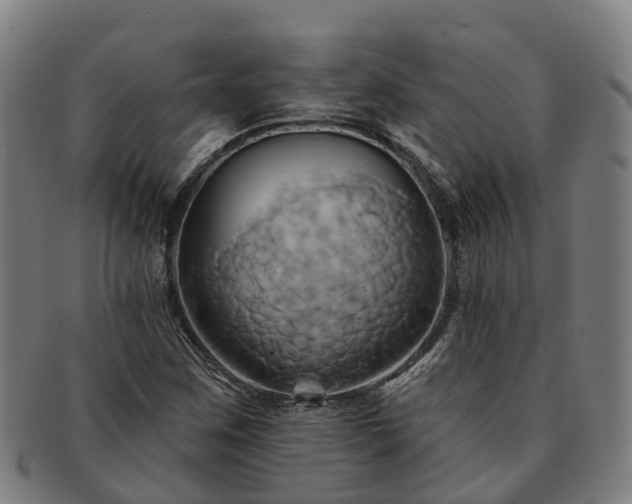 X0000091591259200708271235