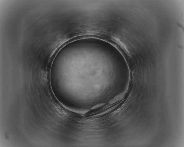 X0000091591260200708271235