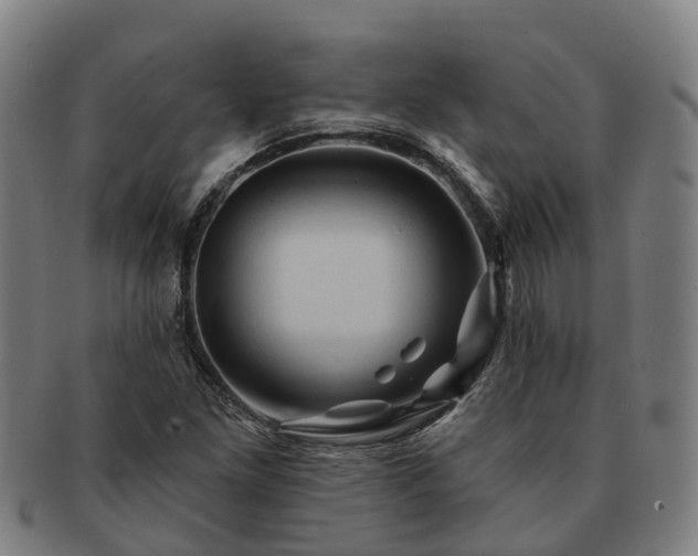 X0000091591261200708271235