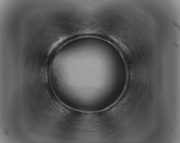 X0000091591262200708271235