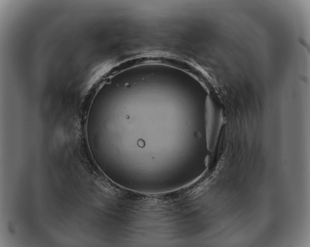 X0000091591263200708271235