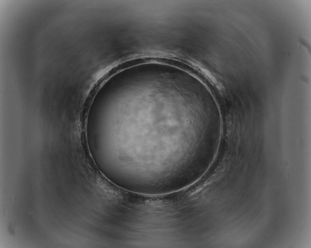 X0000091591264200708271235