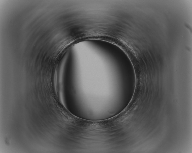 X0000091591265200708271235