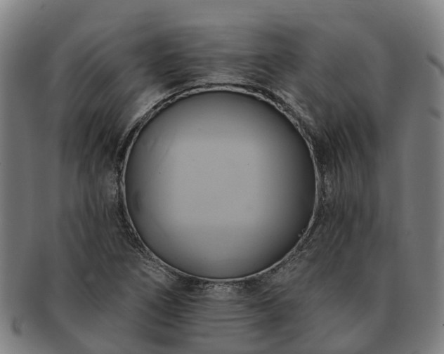 X0000091591266200708271235