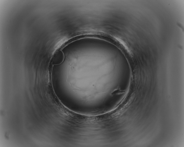 X0000091591267200708271235