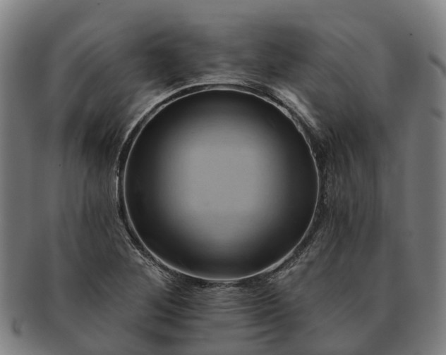 X0000091591268200708271235