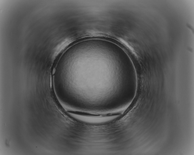 X0000091591269200708271235