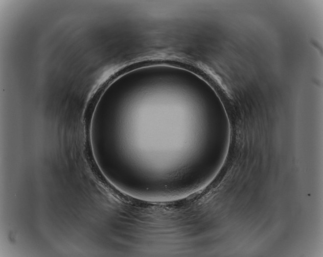 X0000091591270200708271235