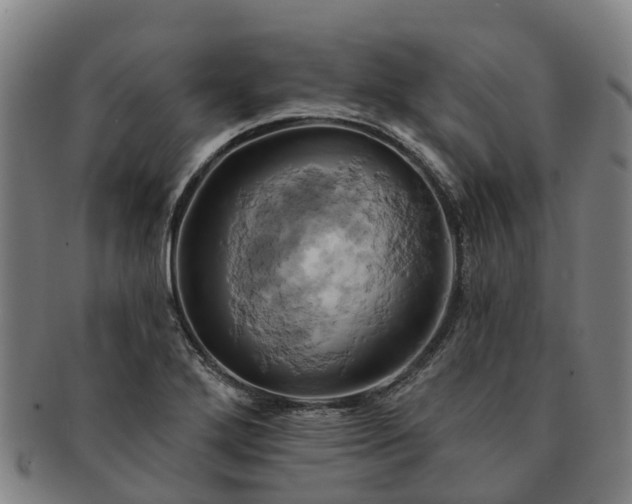X0000091591272200708271235