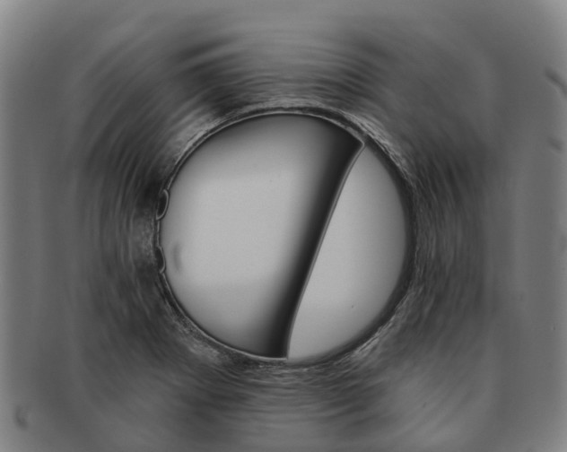 X0000091591273200708271235