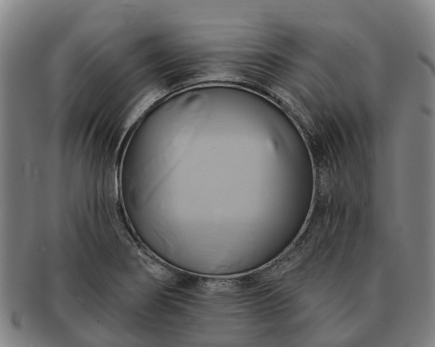 X0000091591274200708271235