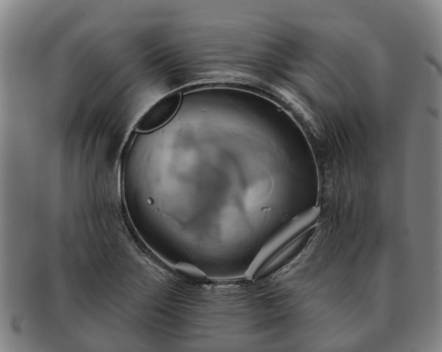 X0000091591275200708271235