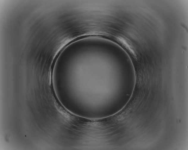 X0000091591276200708271235