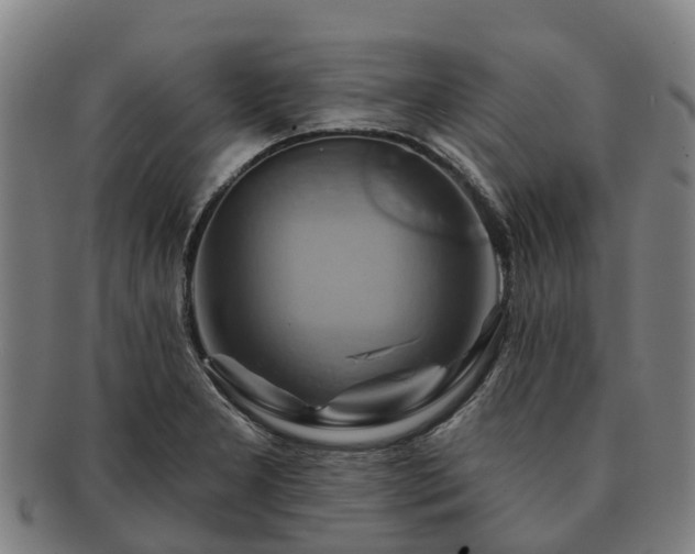 X0000091591277200708271235