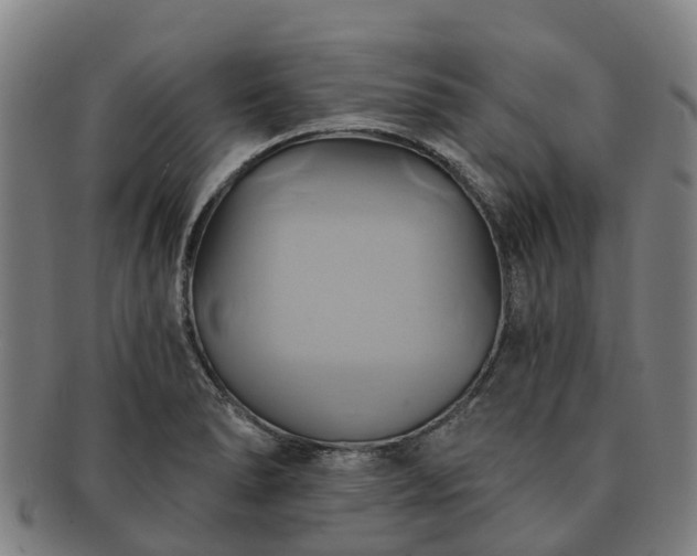 X0000091591278200708271235