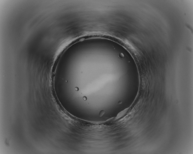 X0000091591279200708271235