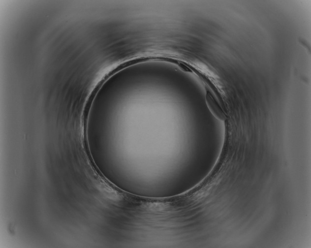 X0000091591280200708271235