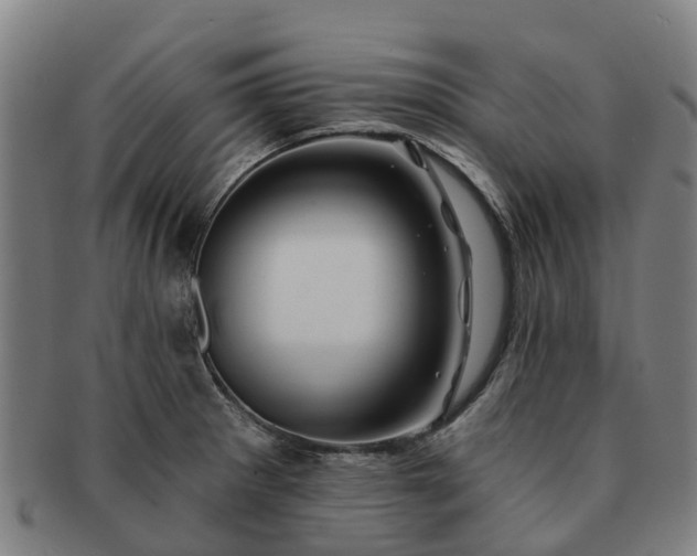 X0000091591281200708271235