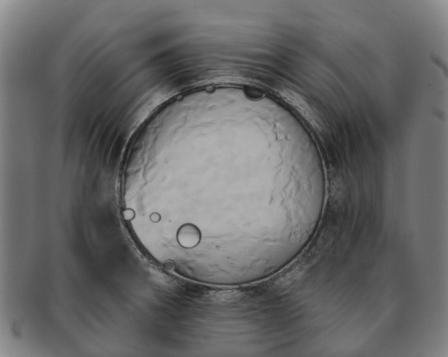 X0000091591282200708271235