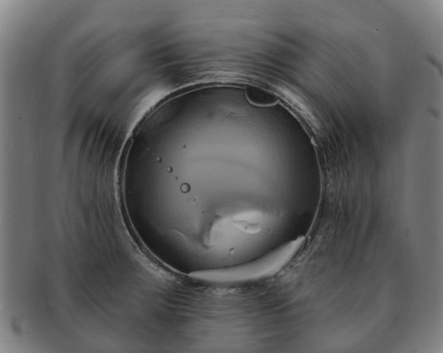 X0000091591283200708271235