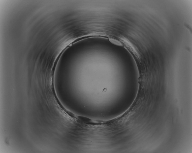 X0000091591284200708271235