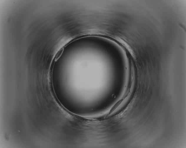 X0000091591285200708271235