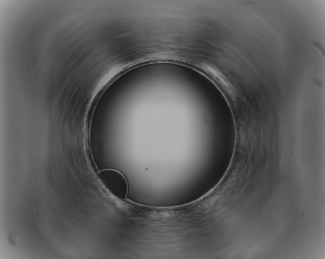 X0000091591286200708271235