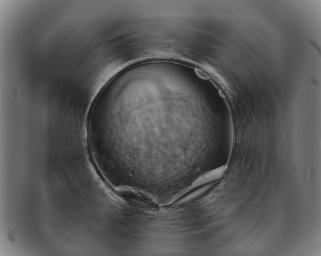 X0000091591287200708271234